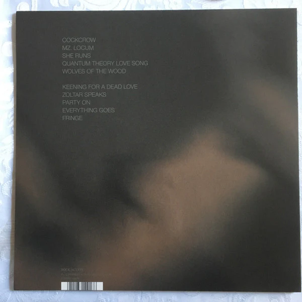 Aidan Moffat, RM Hubbert – Here Lies The Body (VG+/VG+) – LP, UK 2018 - Image 2