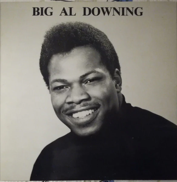 Al Downing – Big Al Downing And The Poe-Kats (VG+/VG+) – LP, SE 1986