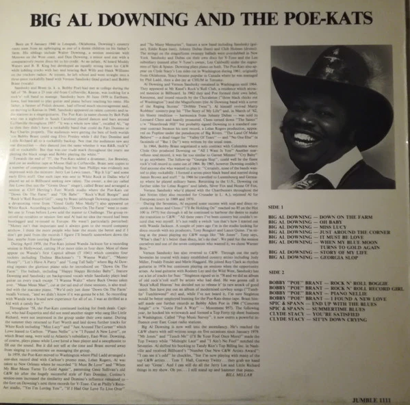 Al Downing – Big Al Downing And The Poe-Kats (VG+/VG+) – LP, SE 1986 - Image 2