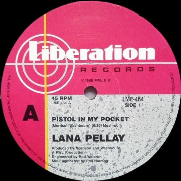 Alan Pillay – Pistol In My Pocket (VG+/VG+) – 12", AU 1986 - Image 5
