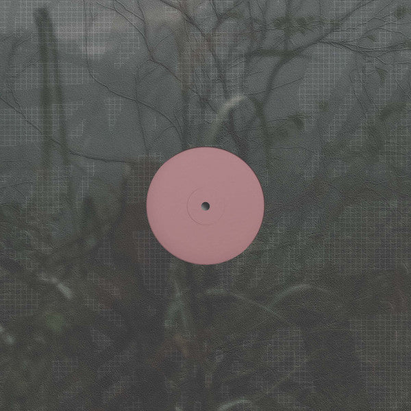 Alien D – For The Early Hours Of A World In Bloom (VG+/VG+) – LP, AU 2025