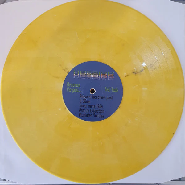 Alien Nose Job – Once Again The Present Becomes The Past (E/E) – LP, AU 2020 - Image 3