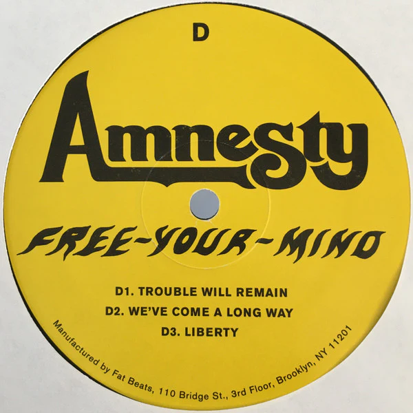Amnesty – Free Your Mind (The 700 West Sessions) (E/E) – 2xLP, US 2007 - Image 8