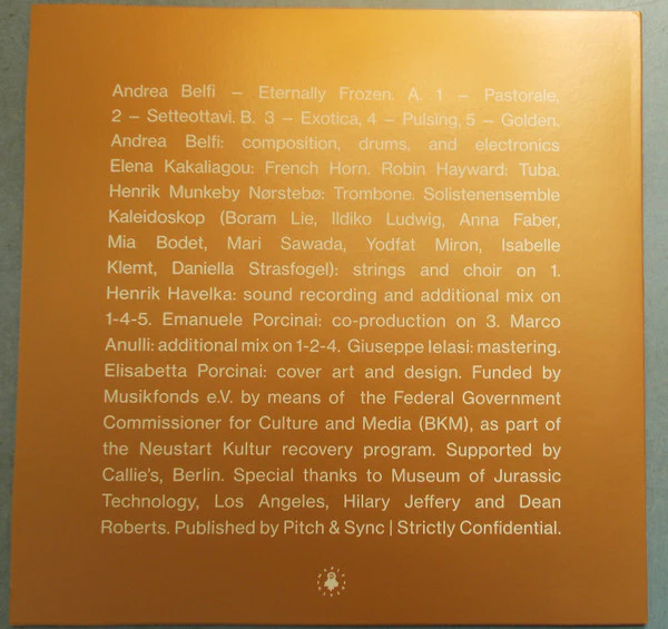 Andrea Belfi – Eternally Frozen (E/E) – LP, UK 2023 - Image 3