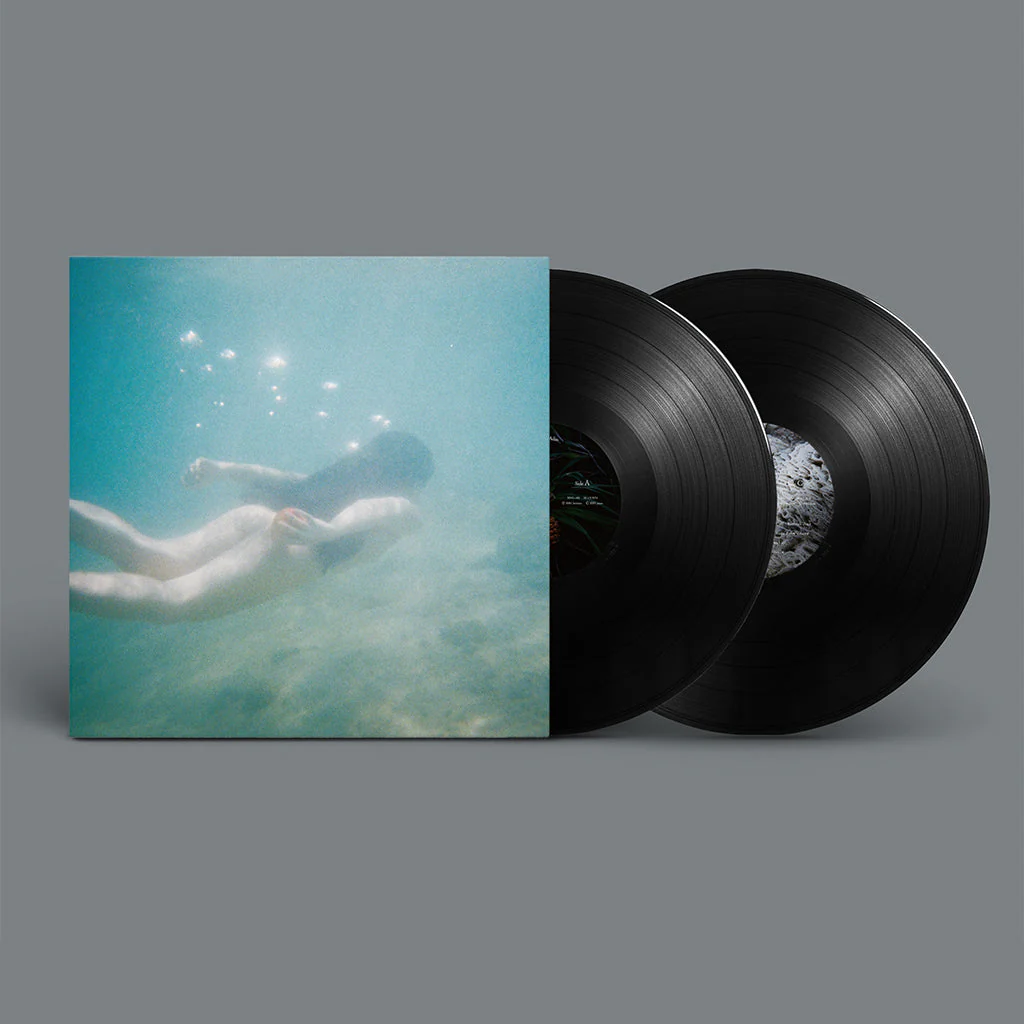Aoba Ichiko – Windswept Adan (2xLP) - Image 2