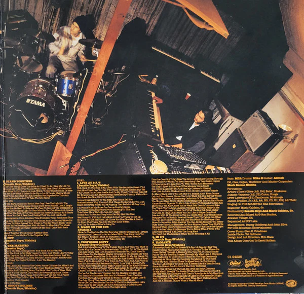 Beastie Boys – Check Your Head (VG/VG+) – 2xLP, US 2022 - Image 3