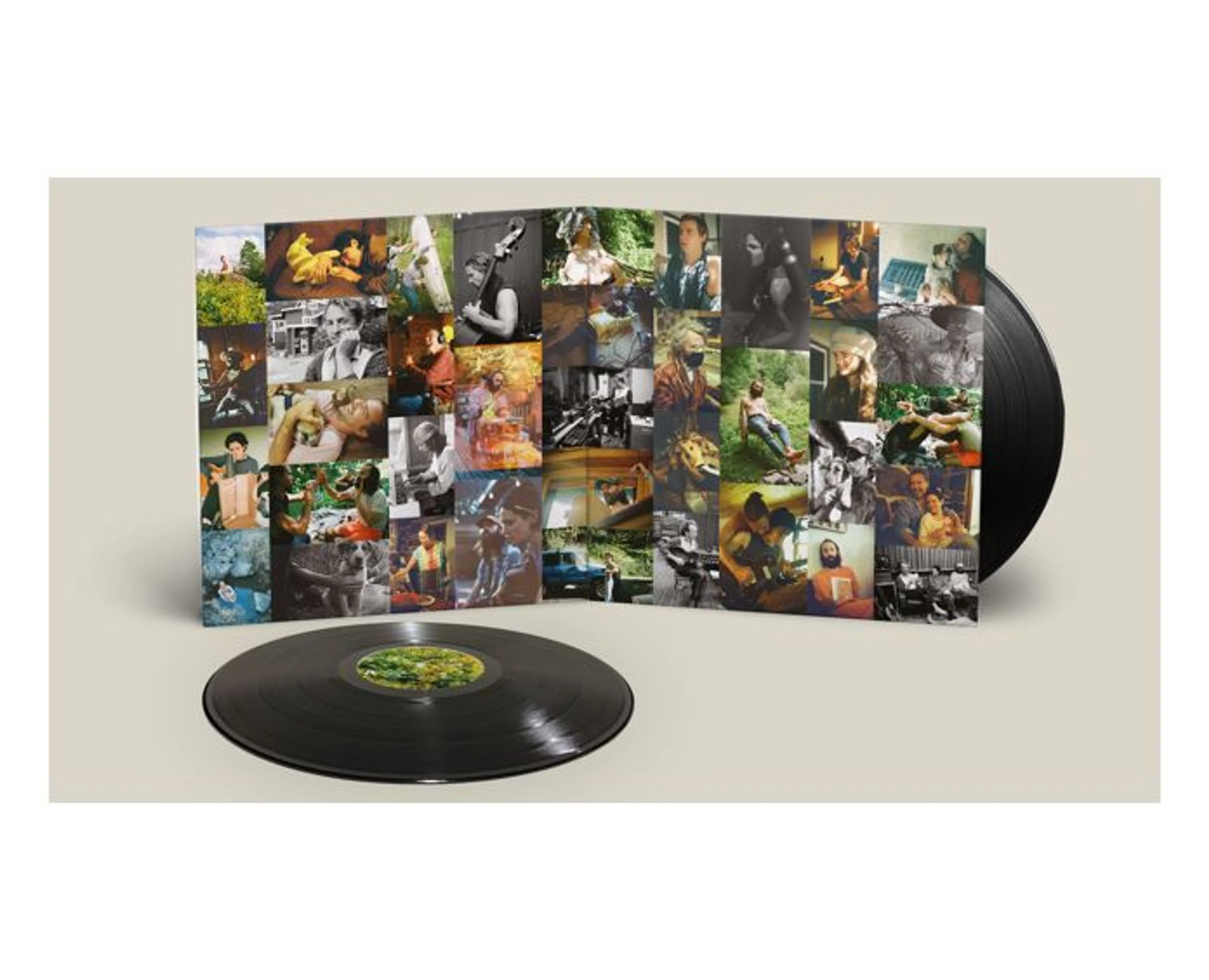 Big Thief – Dragon New Warm Mountain I Believe In You (2xLP) - Image 3