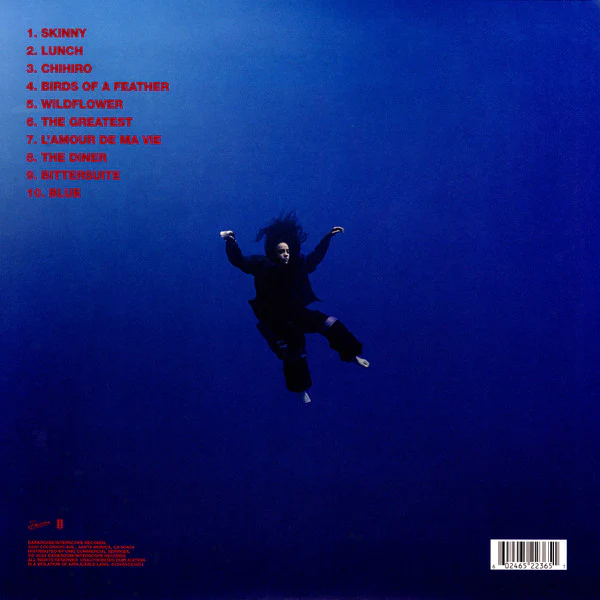 Billie Eilish – Hit Me Hard And Soft (VG+/VG+) – LP, Worldwide 2024 - Image 3