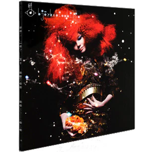 Björk – Biophilia (VG/VG+) – 2xLP, UK 2011 - Image 9