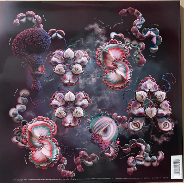 Björk – Fossora (NM/NM) – 2xLP, UK 2022 - Image 4