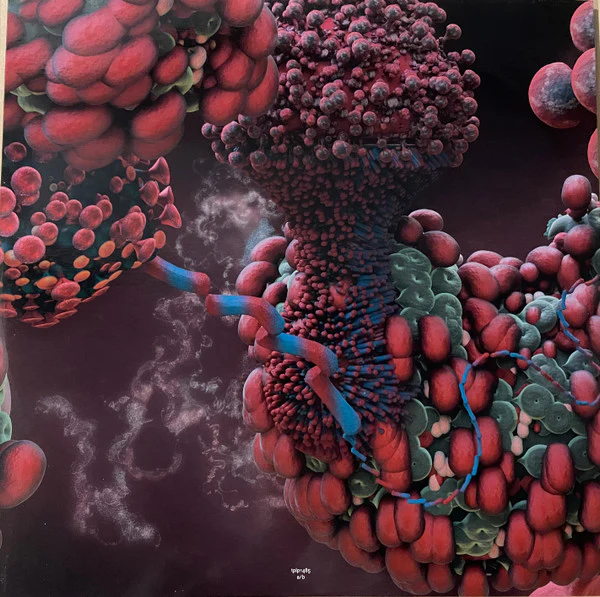 Björk – Fossora (NM/NM) – 2xLP, UK 2022 - Image 5