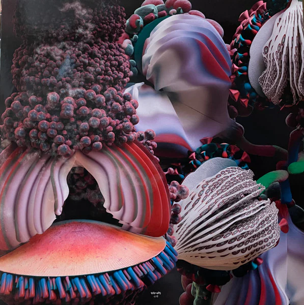 Björk – Fossora (NM/NM) – 2xLP, UK 2022 - Image 8