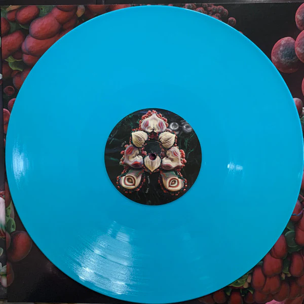 Björk – Fossora (NM/NM) – 2xLP, UK 2022 - Image 9