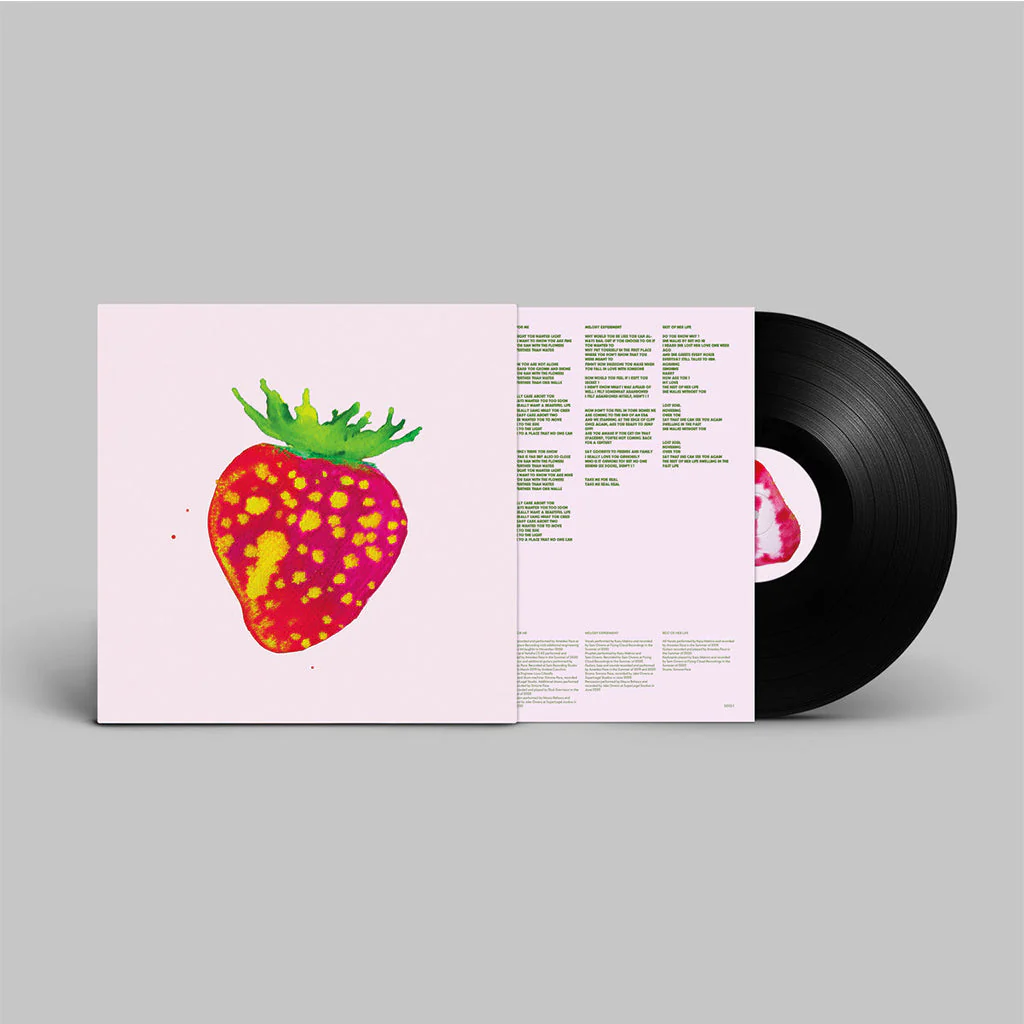 Blonde Redhead – Sit Down For Dinner - Image 2