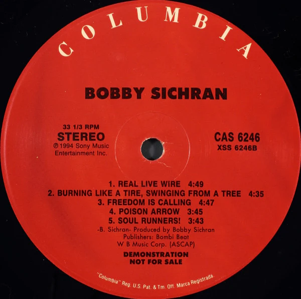 Bobby Sichran – From A Sympathetical Hurricane (VG+/VG+) – LP, US 1994 - Image 4