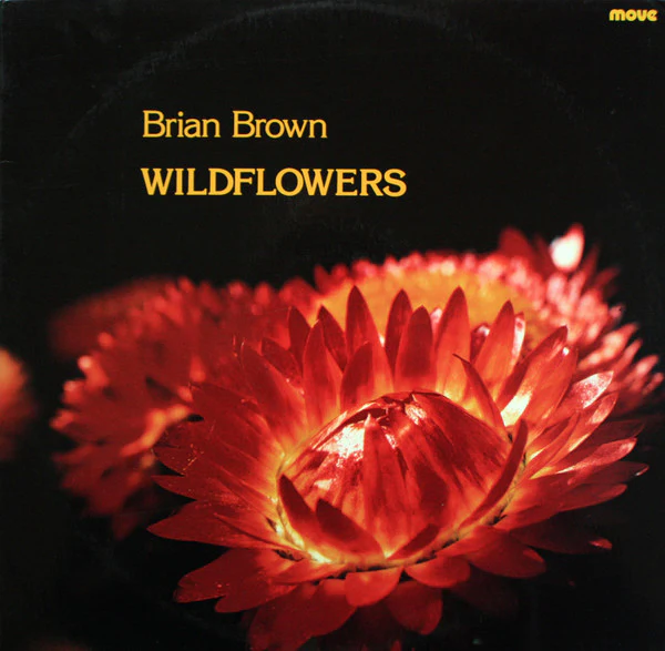 Brian Brown – Wildflowers (VG+/VG+) – LP, AU 1984