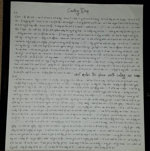 Courtesy Drop – What Makes This Place Worth Calling Our Home (VG+/E) – LP, US 2011 - Image 6