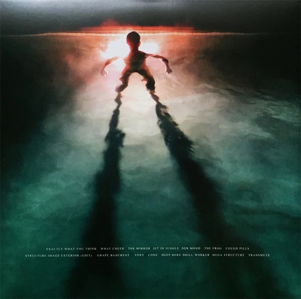 Damaged Bug – Cold Hot Plumbs (VG+/VG+) – LP, US 2015 - Image 3