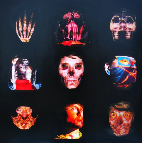 Damaged Bug – Cold Hot Plumbs (VG+/VG+) – LP, US 2015 - Image 7