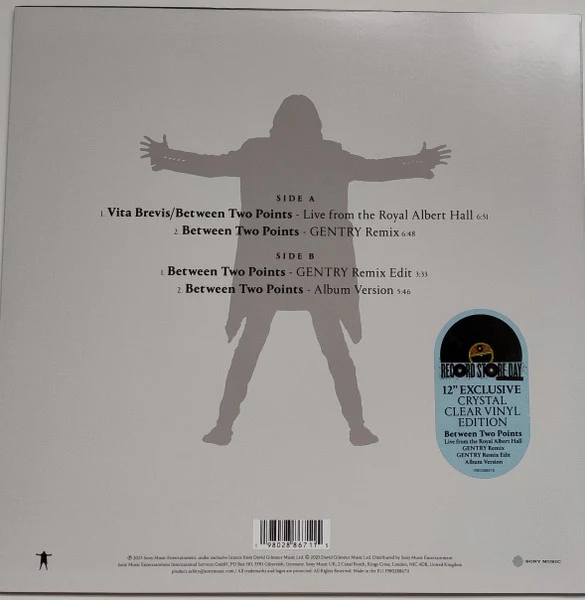 David Gilmour, Romany Gilmour – Between Two Points (M/VG+) – 12", EU 2025 - Image 2