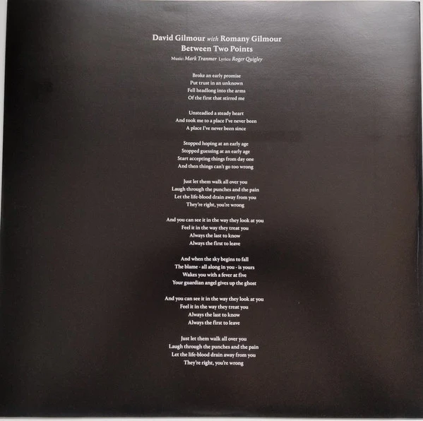 David Gilmour, Romany Gilmour – Between Two Points (M/VG+) – 12", EU 2025 - Image 3