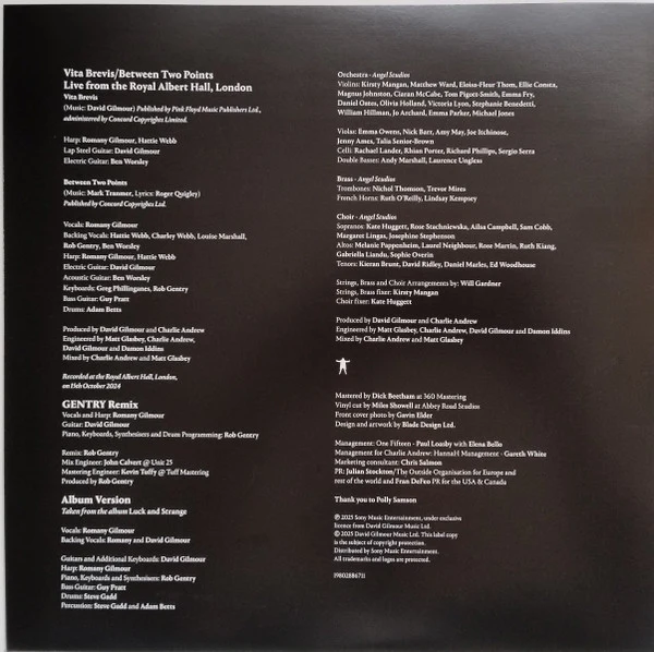 David Gilmour, Romany Gilmour – Between Two Points (M/VG+) – 12", EU 2025 - Image 4