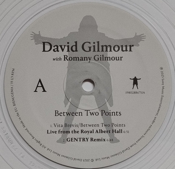 David Gilmour, Romany Gilmour – Between Two Points (M/VG+) – 12", EU 2025 - Image 6