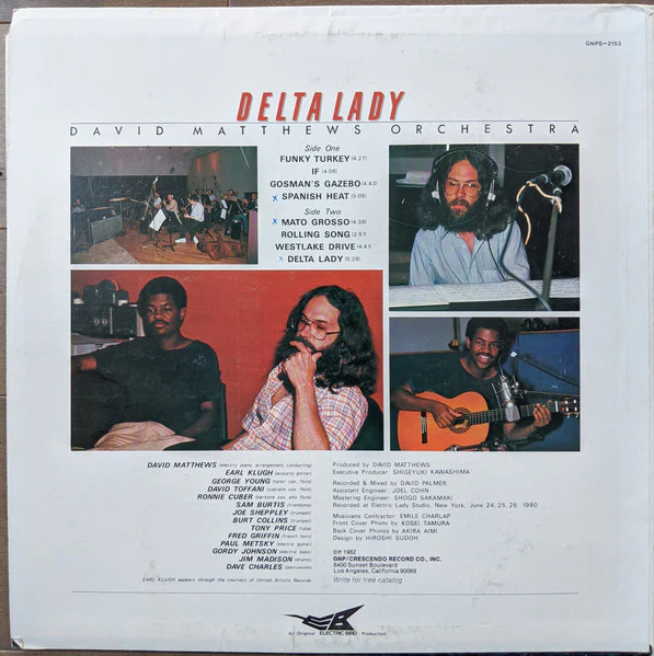 David Matthews Orchestra – Delta Lady (E/VG+) – LP, US 1982 - Image 2