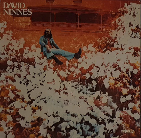 David Ninnes – David Ninnes (VG+/VG+) – LP, AU 1976