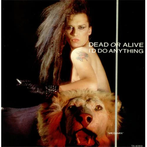 Dead Or Alive – I'd Do Anything (Megamix) (E/VG+) – 12", AU 1983