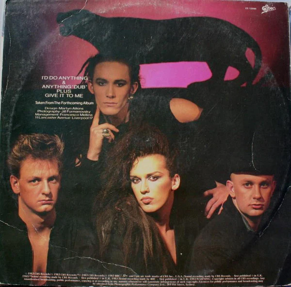 Dead Or Alive – I'd Do Anything (Megamix) (E/VG+) – 12", AU 1983 - Image 2