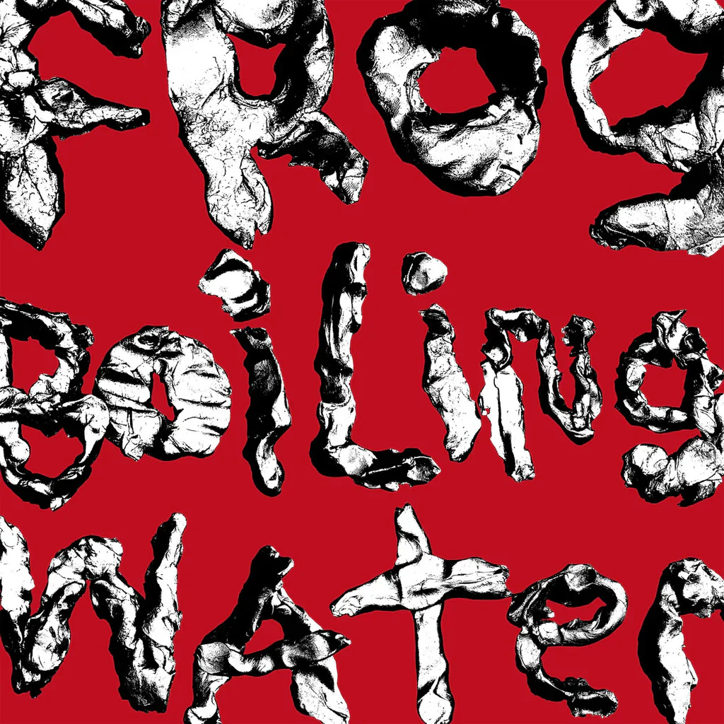 DIIV – Frog In Boiling Water