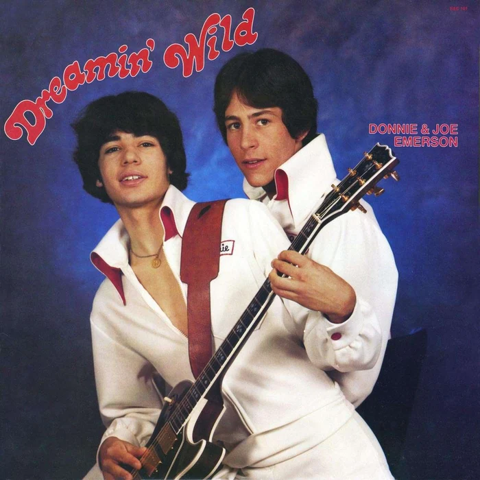 Donnie & Joe Emerson – Dreamin' Wild (Light in the Attic)