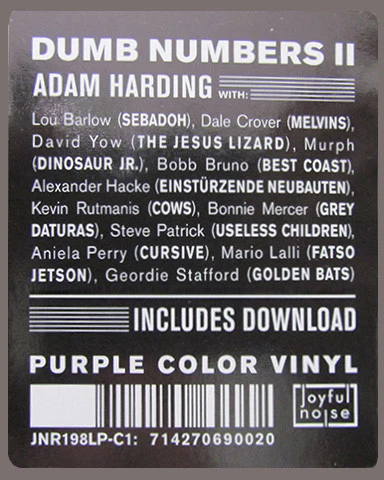 Dumb Numbers – Dumb Numbers II (VG+/VG+) – LP, US 2016 - Image 2