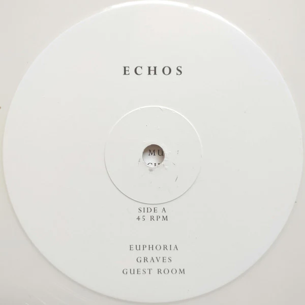 Echos – Even Though You're Gone (VG+/E) – 2xLP, US 2018 - Image 6