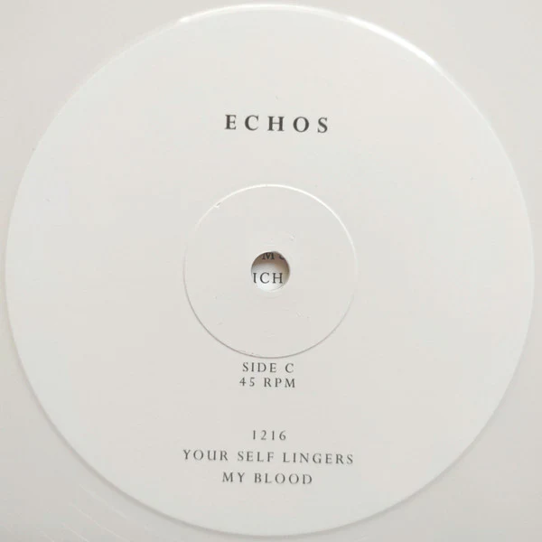 Echos – Even Though You're Gone (VG+/E) – 2xLP, US 2018 - Image 8