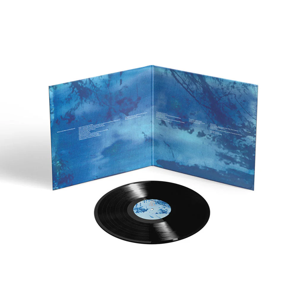 Ed O'Brien – Blue Morpho - Image 3