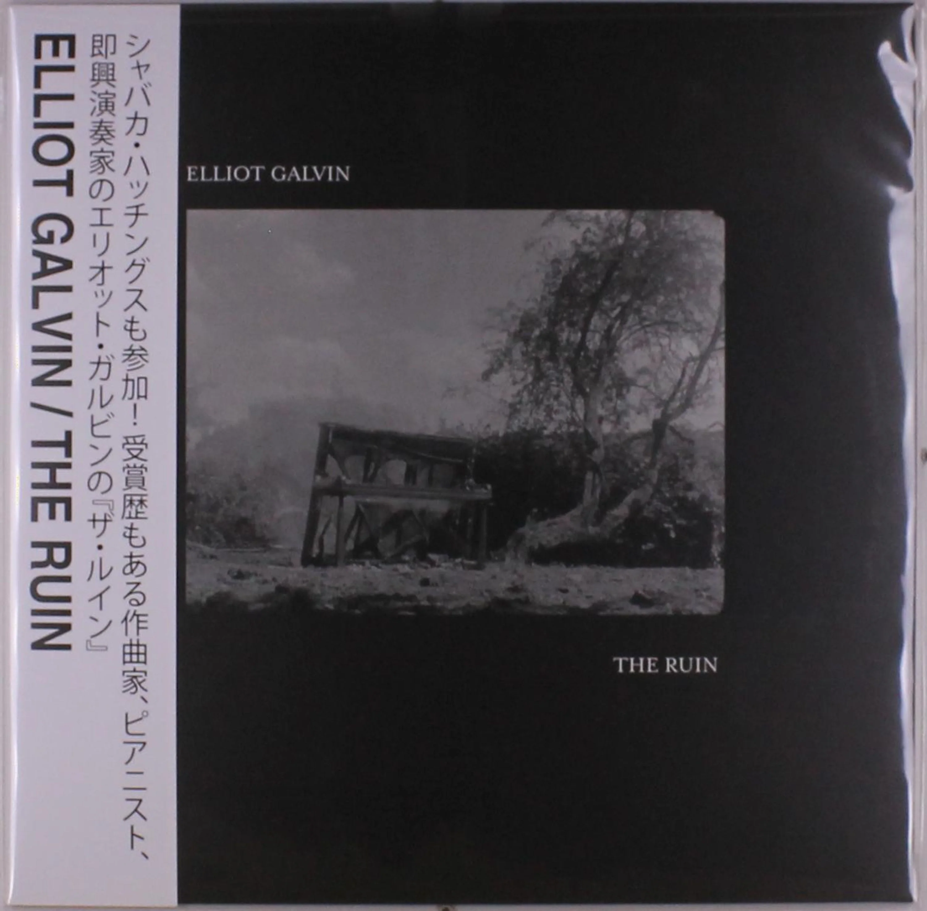 Elliot Galvin – The Ruin - Image 2