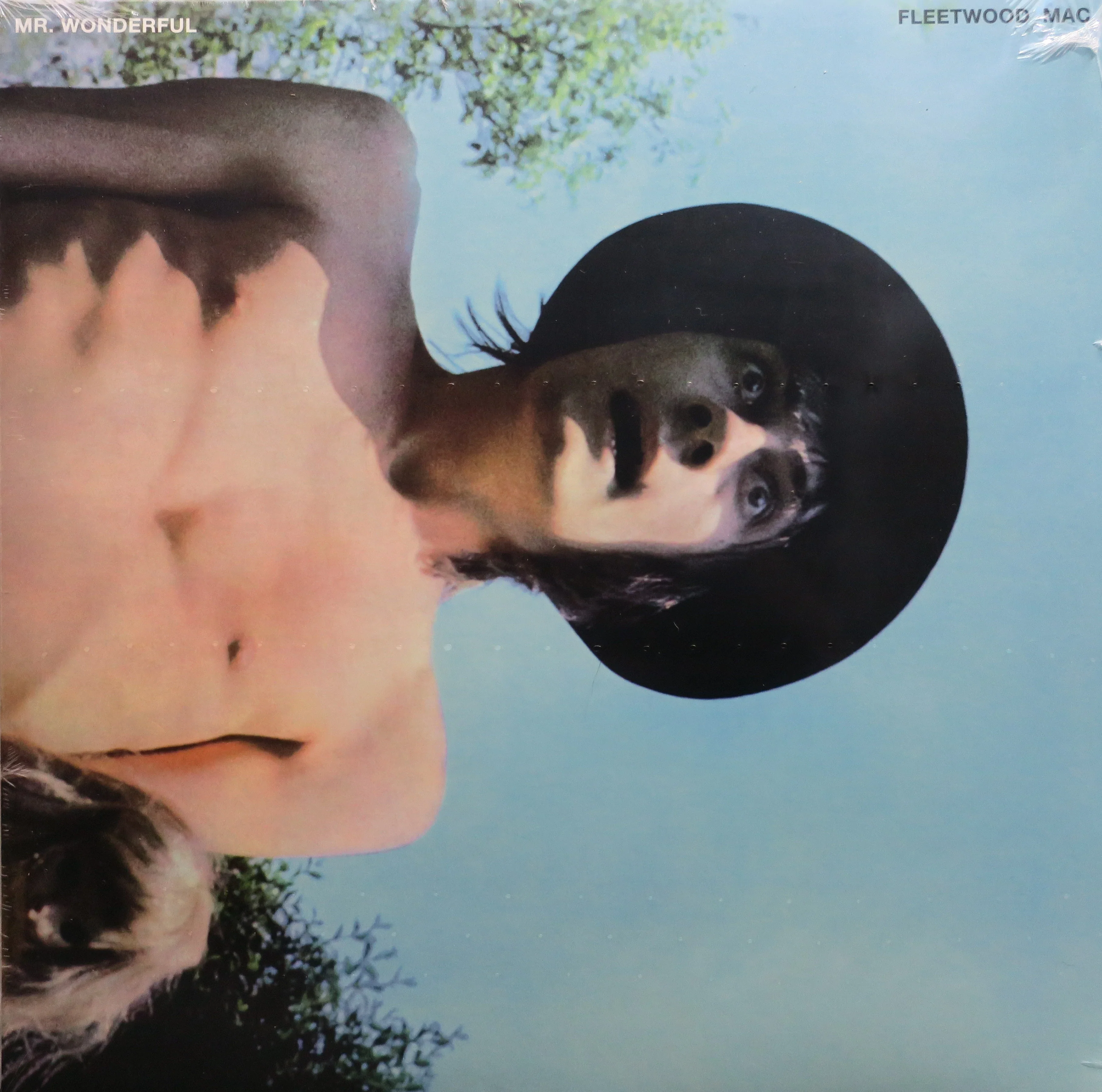 Fleetwood Mac – Mr. Wonderful