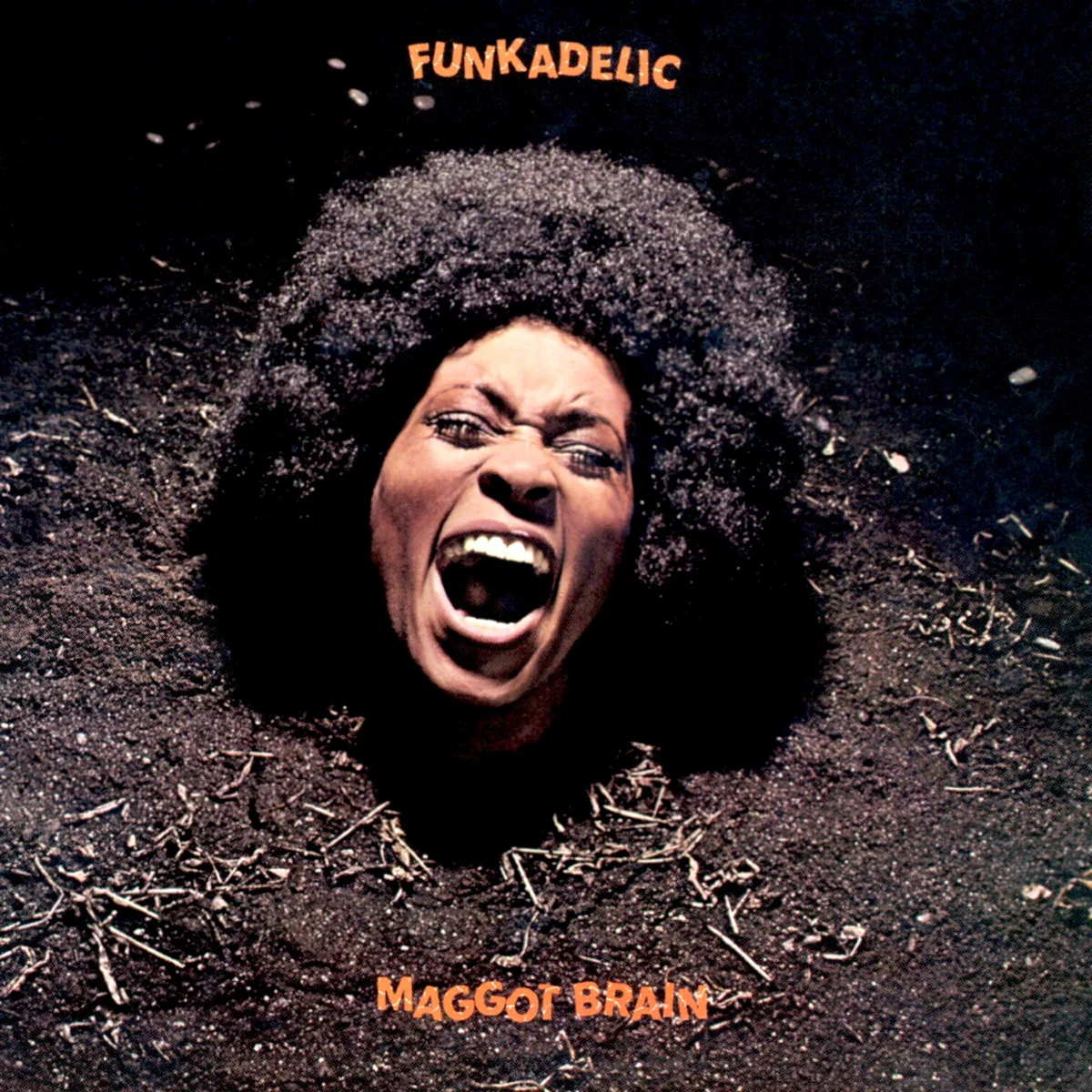 Maggot Brain – Funkadelic