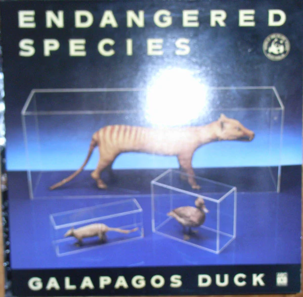 Galapagos Duck – Endangered Species (NM/VG+) – LP, AU 1985