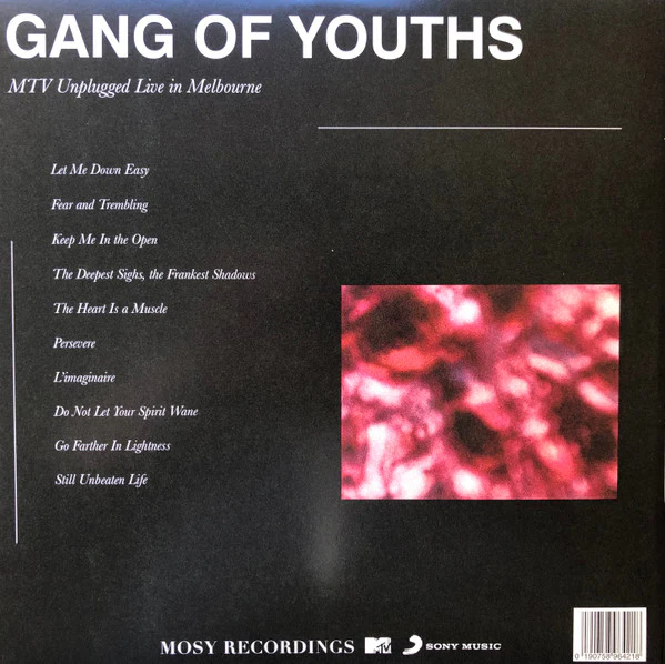 Gang of Youths – MTV Unplugged Live In Melbourne (VG/E) – 2xLP, AU 2018 - Image 4