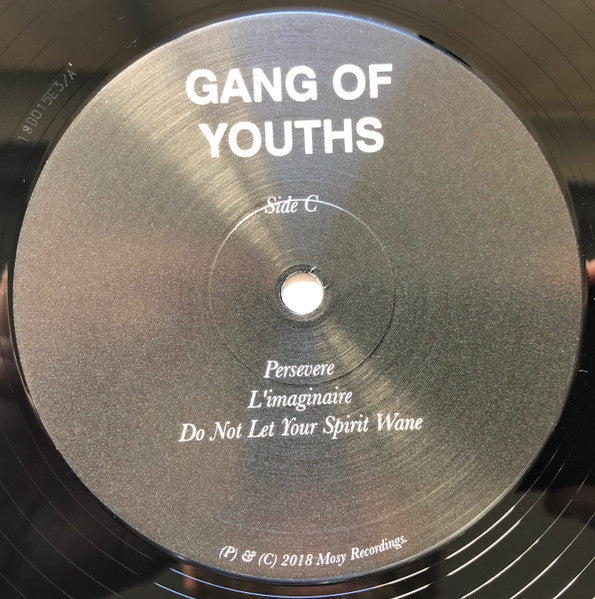 Gang of Youths – MTV Unplugged Live In Melbourne (VG/E) – 2xLP, AU 2018 - Image 7