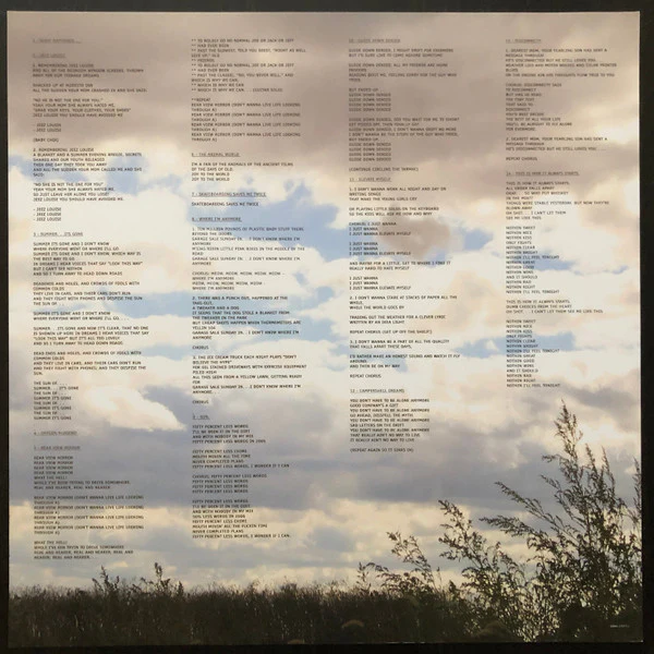 Grandaddy – Just Like The Fambly Cat (VG+/VG+) – 2xLP, US 2006 - Image 4