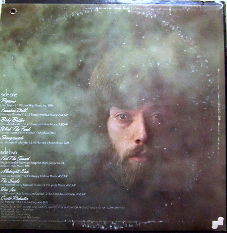 Harvey Mandel – The Best Of Harvey Mandel (VG/VG+) – LP, US 1975 - Image 2