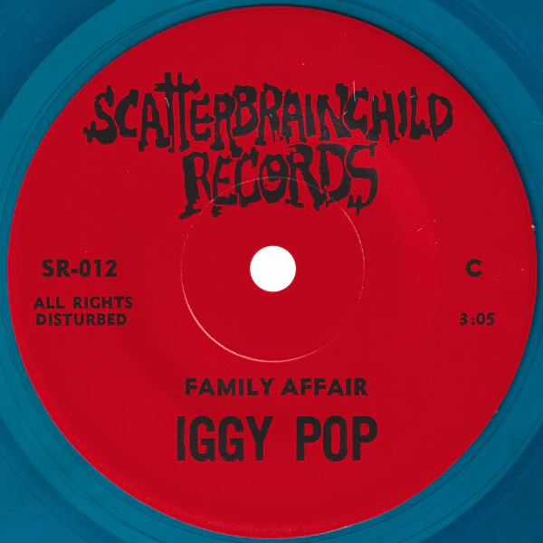 Iggy Pop – Iggy Pop / Steve Jones Demo (VG+/VG+) – 2x7" - Image 5