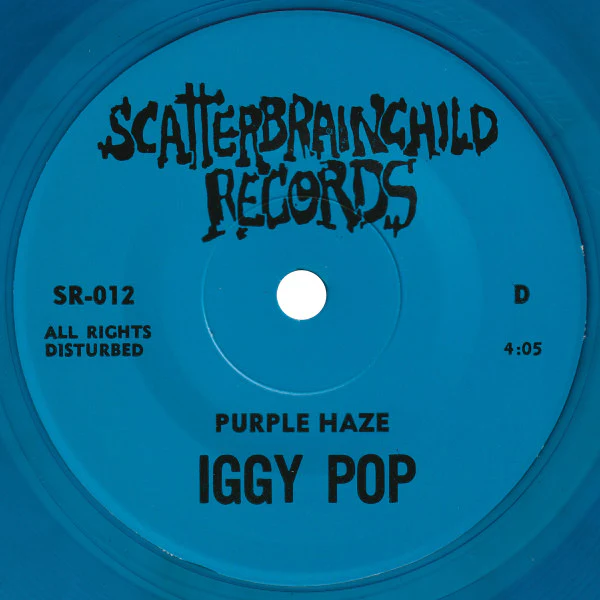 Iggy Pop – Iggy Pop / Steve Jones Demo (VG+/VG+) – 2x7" - Image 6