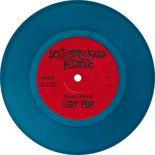 Iggy Pop – Iggy Pop / Steve Jones Demo (VG+/VG+) – 2x7" - Image 9