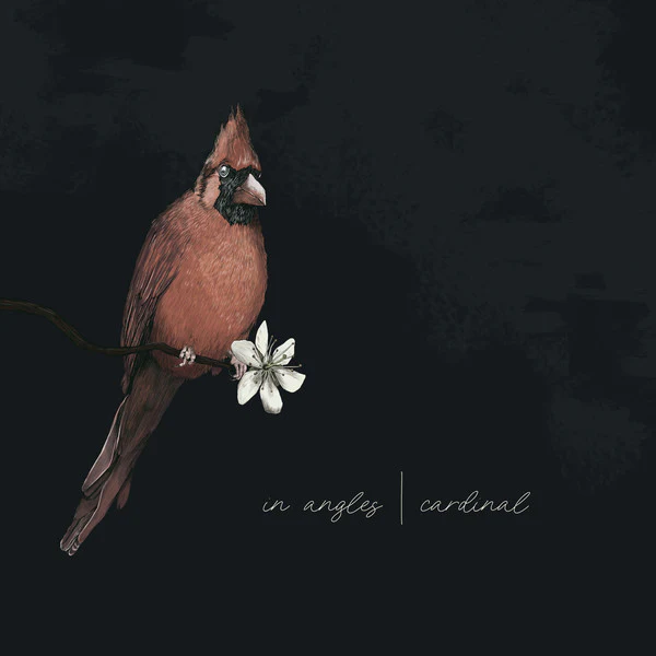 In Angles – Cardinal (VG+/VG+) – LP, US 2022