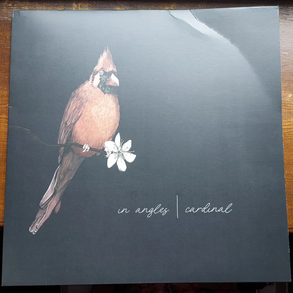 In Angles – Cardinal (VG+/VG+) – LP, US 2022 - Image 2